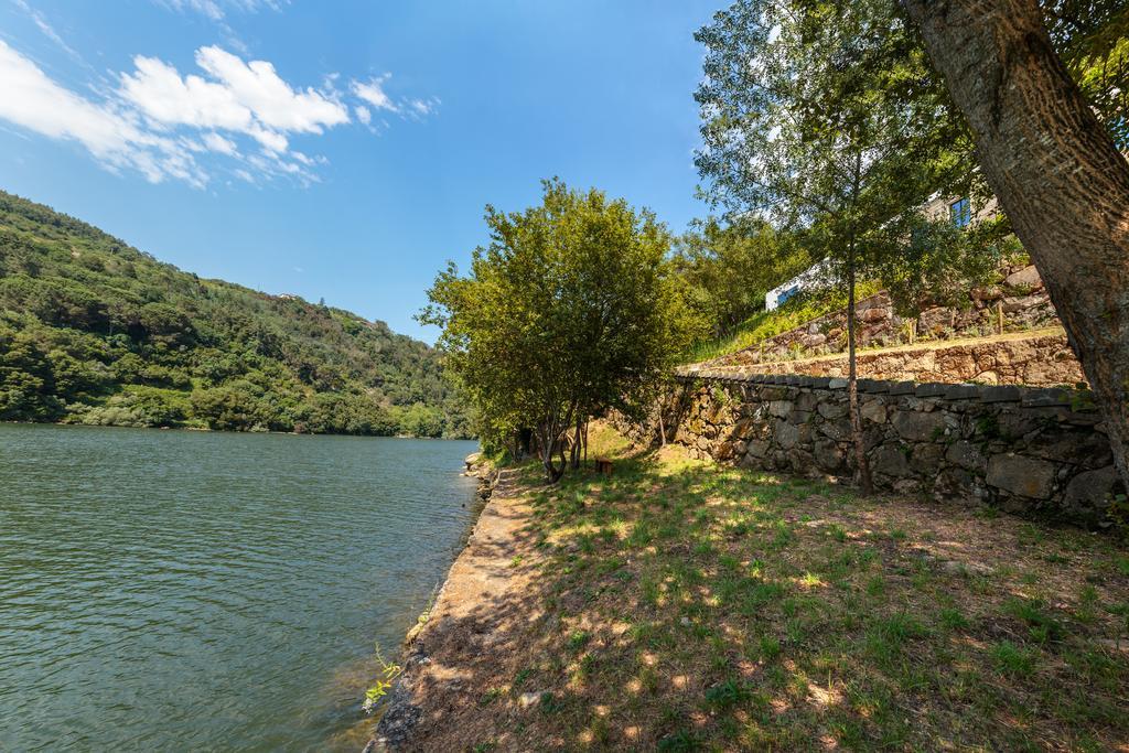 قلعة بايفا Douro Green المظهر الخارجي الصورة